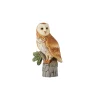 Barn Owl