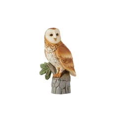 Barn Owl