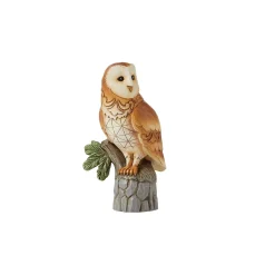 Barn Owl