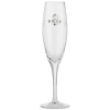 Bride Toasting Glass