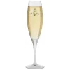 Bride Toasting Glass