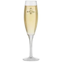 Bride Toasting Glass