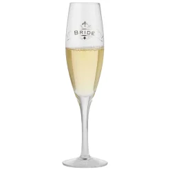 Bride Toasting Glass
