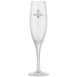 Bride Toasting Glass