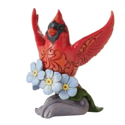 Caring Cardinals Forget-Me-Not