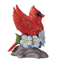 Caring Cardinals Forget-Me-Not