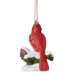 Caring Cardinals Winter Bless