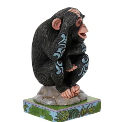 Chimpanzee