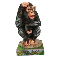 Chimpanzee