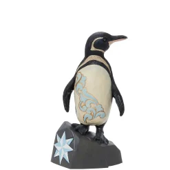 Galapagos Penguin