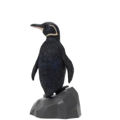 Galapagos Penguin