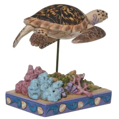 Hawksbill Sea Turtle