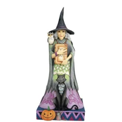 Spooky Or Sweet Twosided Witch