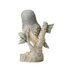 White Woodland Owl On Branch