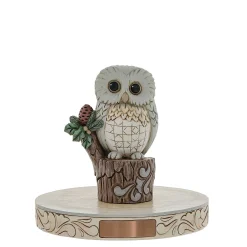 Woodland Owl On Tree Stump